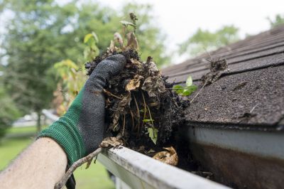Clogged Gutter Blockages